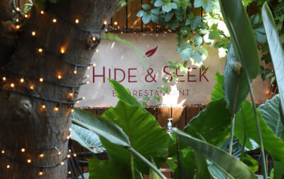 Hide & Seek - εικόνα 1