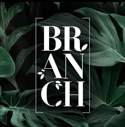 Branch - εικόνα 2